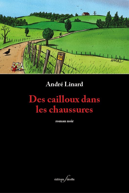 [9782875990532] Des cailloux dans les chaussures | André Linard